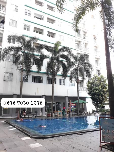Sewa Apartemen/Kost murah di BSD