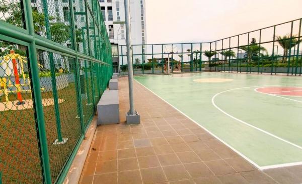 Basket court