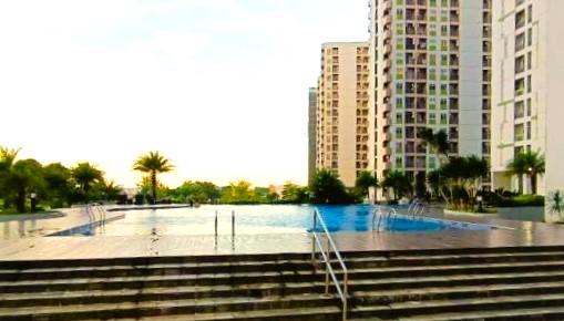 Large Swimming Pool