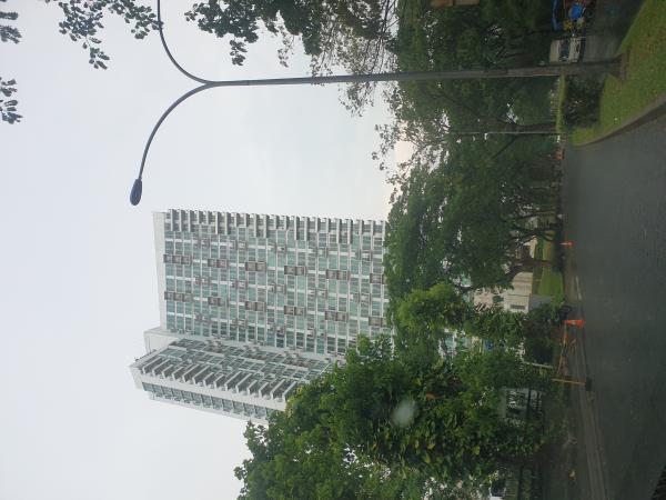 Sewa Apartemen Tree Park BSD